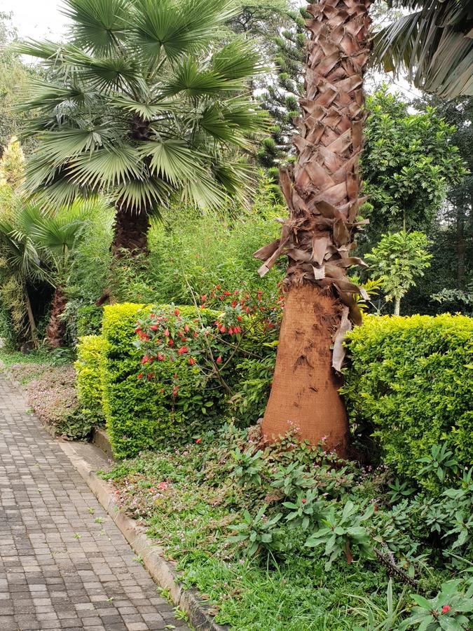 Spurwing Guest House Nairobi Exteriör bild